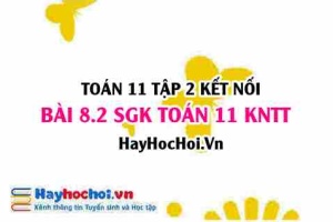 Bài 8.2 SGK Toán 11 Tập 2 Kết nối tri thức